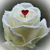 userboz9osjkq3