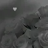 white_flower_lover