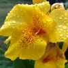 aydan_2018_04