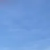 tungngo84749