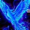 bluephoenix58