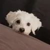 tiijamariaaah97
