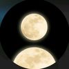 al_shosh.1