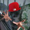 mxnull.privv