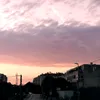 nikakranjac