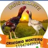 alexmonteiro1327