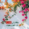 user2046122927494