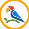 Parrot Rentals