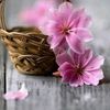 para_dise22