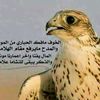 wafly774528774.com