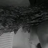 andrsilva007