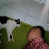 rhdyd_106