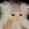 mary_jeri