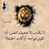 user61481081084745