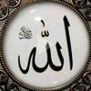 user15263748._098