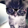 ur_joanb