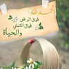 user8408002965482
