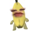 nadilaftrni