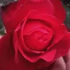 user14470036001160