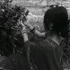 supriya_singh_thakurii00