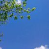 everlastingbluesky