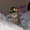 jotaro698