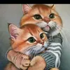 uamirjan02