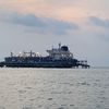 masandra35
