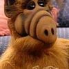 alf9804