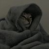 andres_23_02_