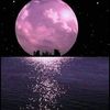 user4dd2ge002e