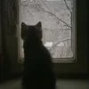 nr__1js