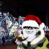 jogo_jostar