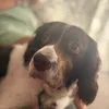 jacob_murphy_lover24