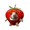 berry_gp