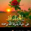 user3111014816878rhaf