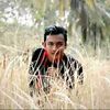 dedimahardika7