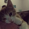 asnnhk_