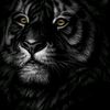emin__11__