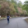 ttraidepxamlul