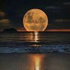 amooolibrahim