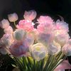 01.dioh_