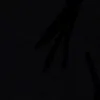 accphucuarin_114