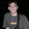 aldicamell