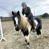 polly_.the._piepony