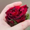 userctm5lxbrxz