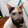 adamaaron306