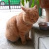 tiggi30