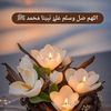 user6588479381924