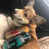 www.tiktok.com.eblan